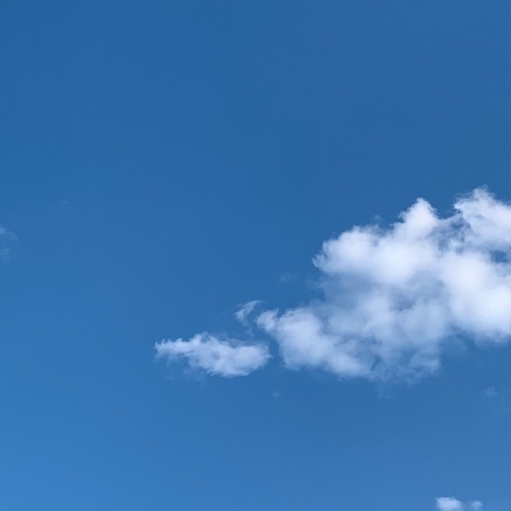 Meet your Posher, Michal